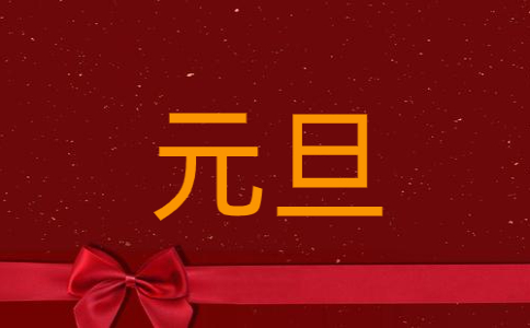 元旦假期安全防范工作总结2023