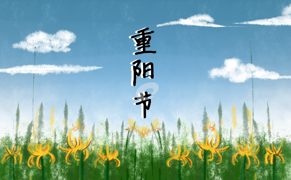 重阳节适合活动策划方案