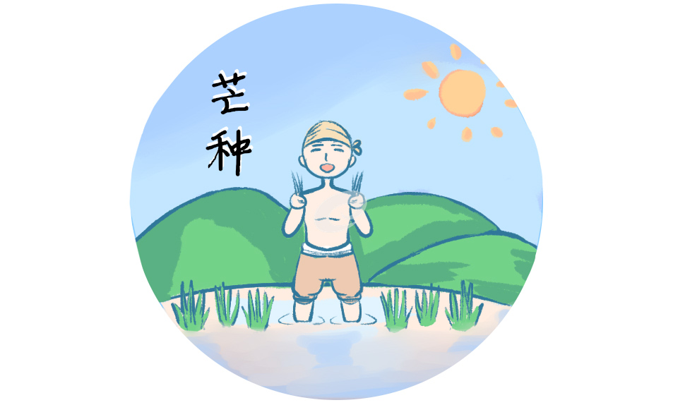 芒种节气快乐微信说说(130句)