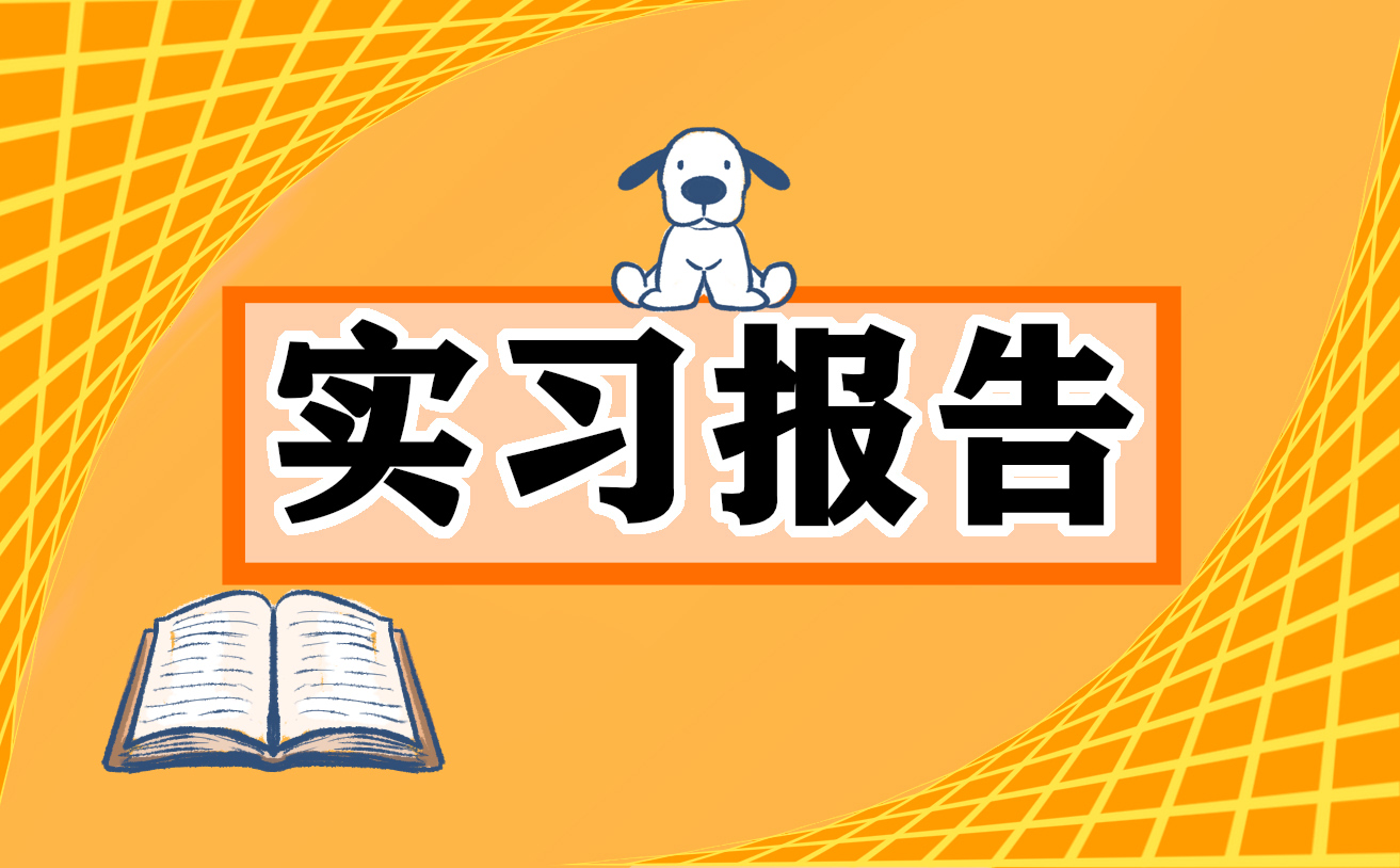 计算机专业实习报告十篇